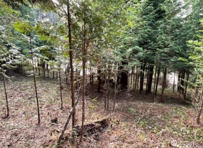 29 Spruce Court , South Bend, WA 98586 - Photo 5