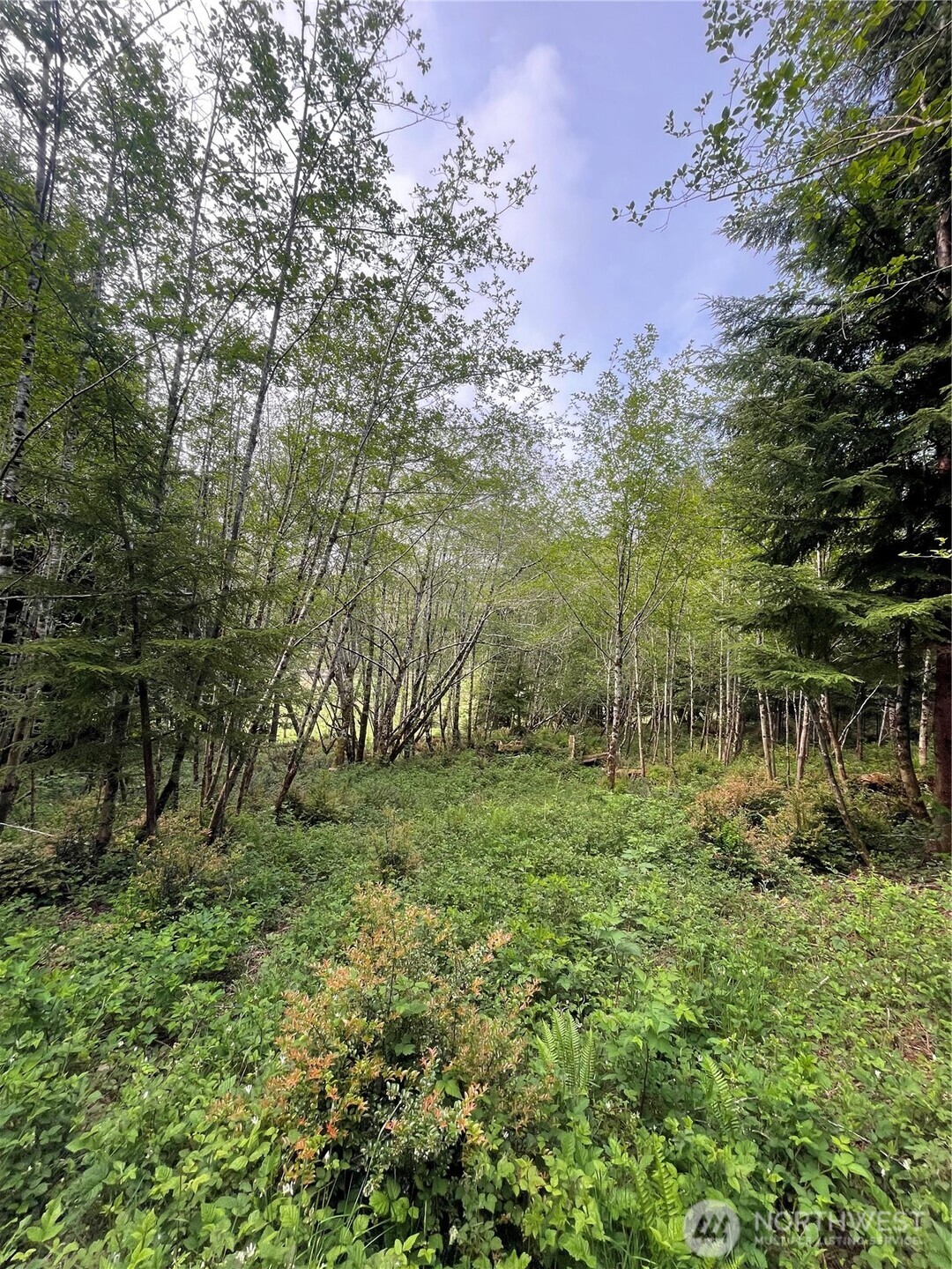 29 Spruce Court , South Bend, WA 98586