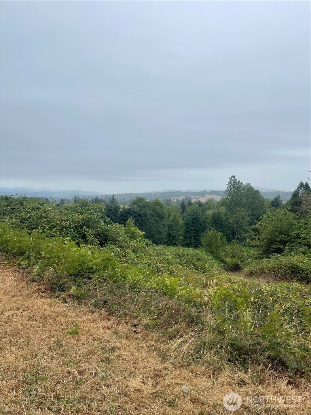 47 Alexander Road , Raymond, WA 98577