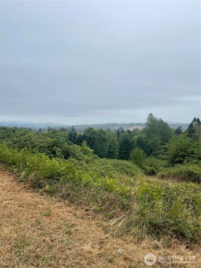 47 Alexander Road , Raymond, WA 98577 - Photo 2