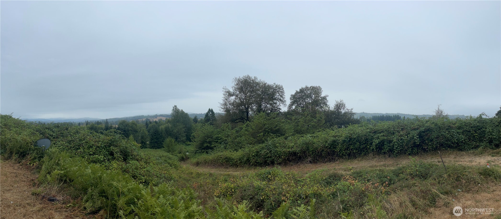 47 Alexander Road , Raymond, WA 98577