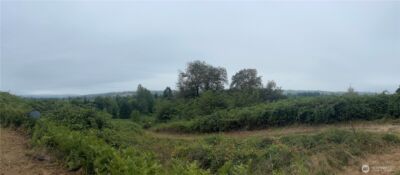 47 Alexander Road , Raymond, WA 98577 - Photo 3