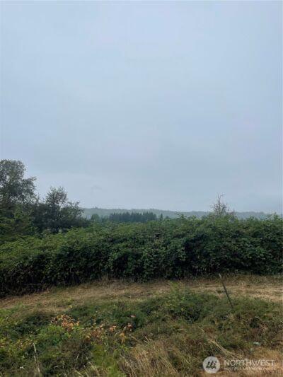 47 Alexander Road , Raymond, WA 98577 - Photo 4