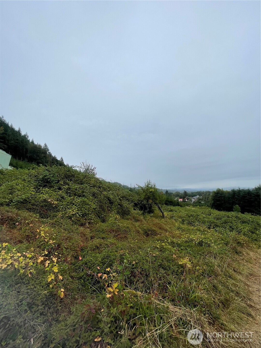 47 Alexander Road , Raymond, WA 98577