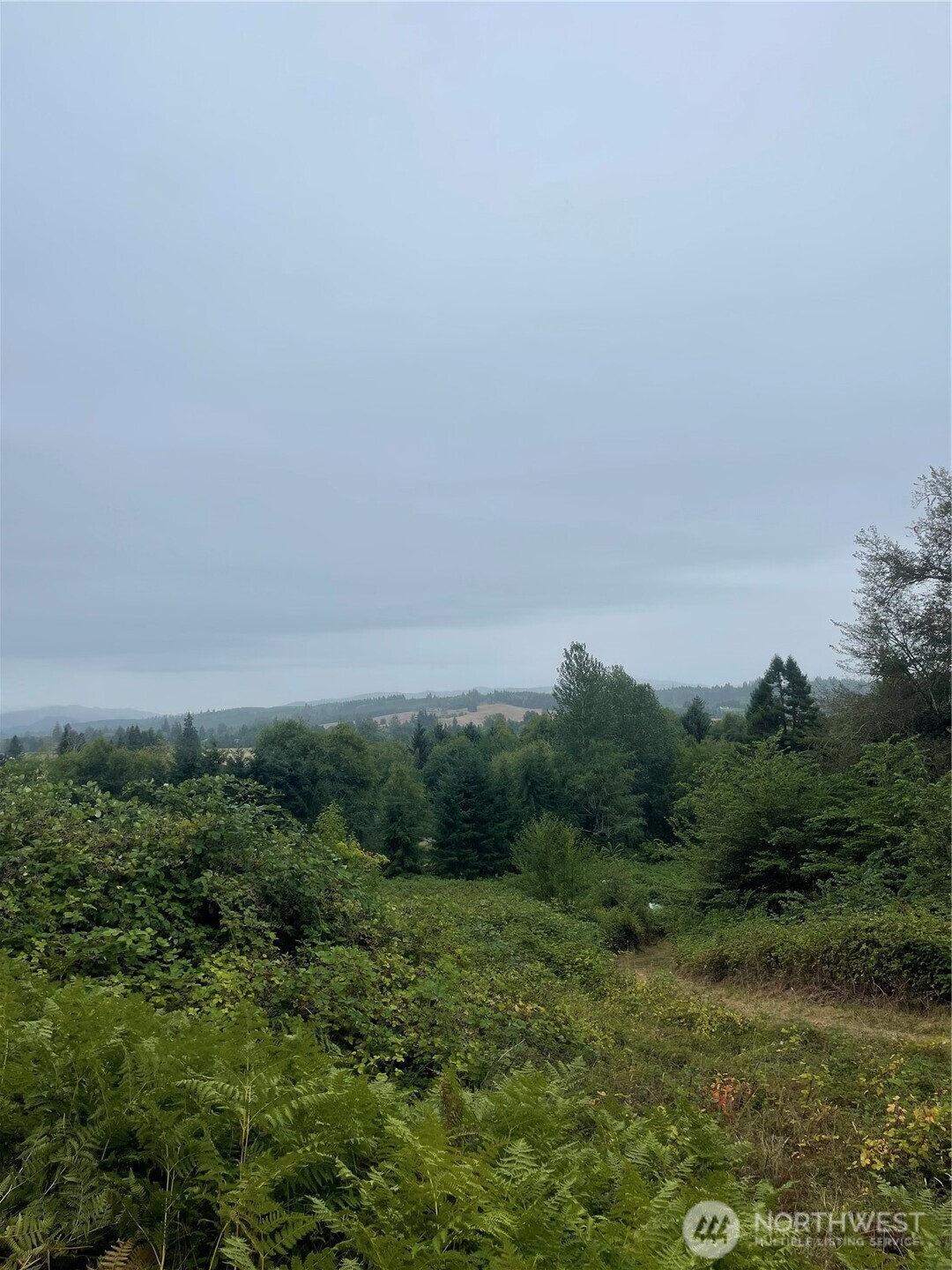 47 Alexander Road , Raymond, WA 98577