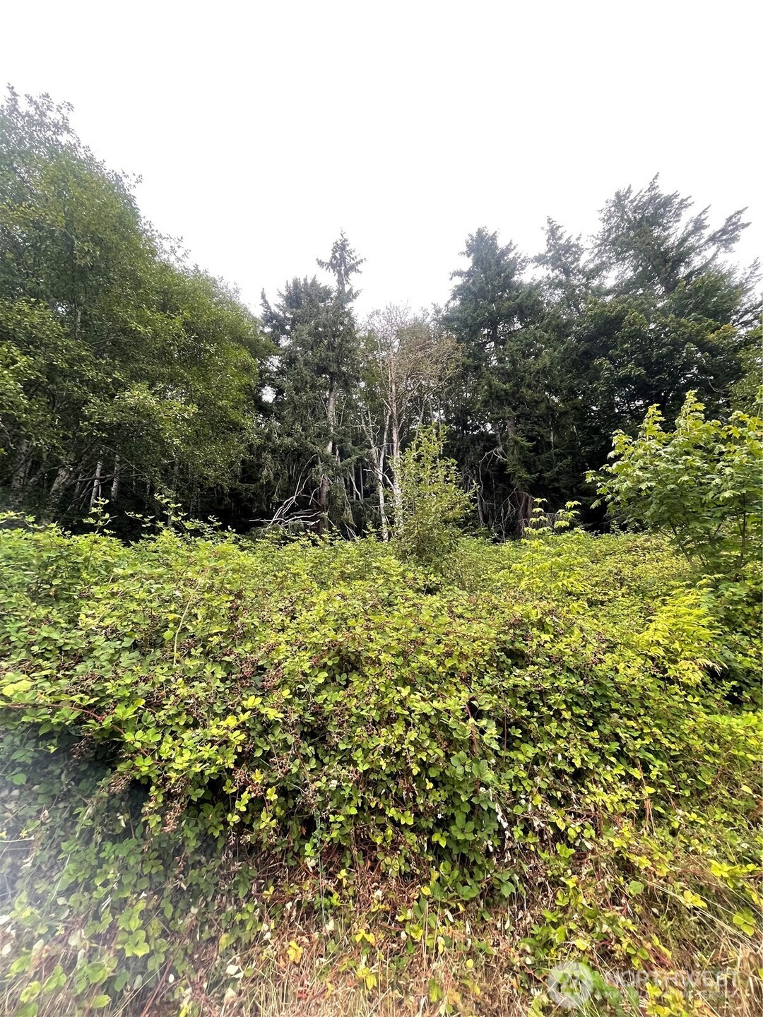 47 Alexander Road , Raymond, WA 98577