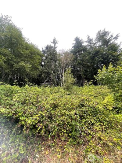 47 Alexander Road , Raymond, WA 98577 - Photo 8