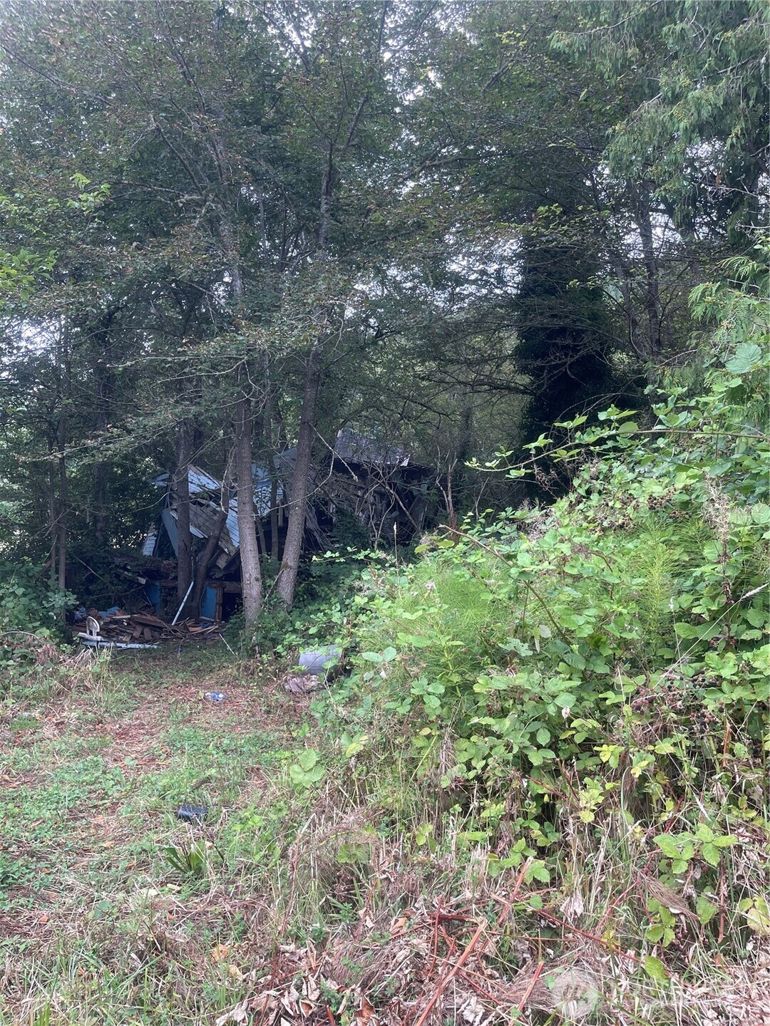 47 Alexander Road , Raymond, WA 98577