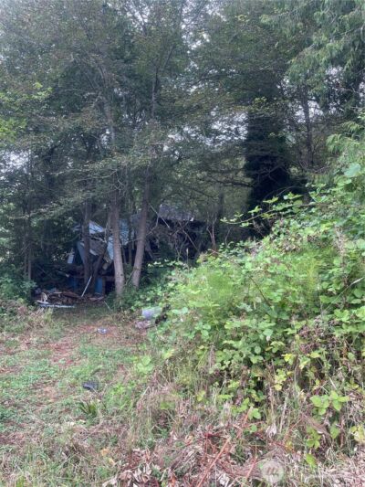 47 Alexander Road , Raymond, WA 98577 - Photo 9