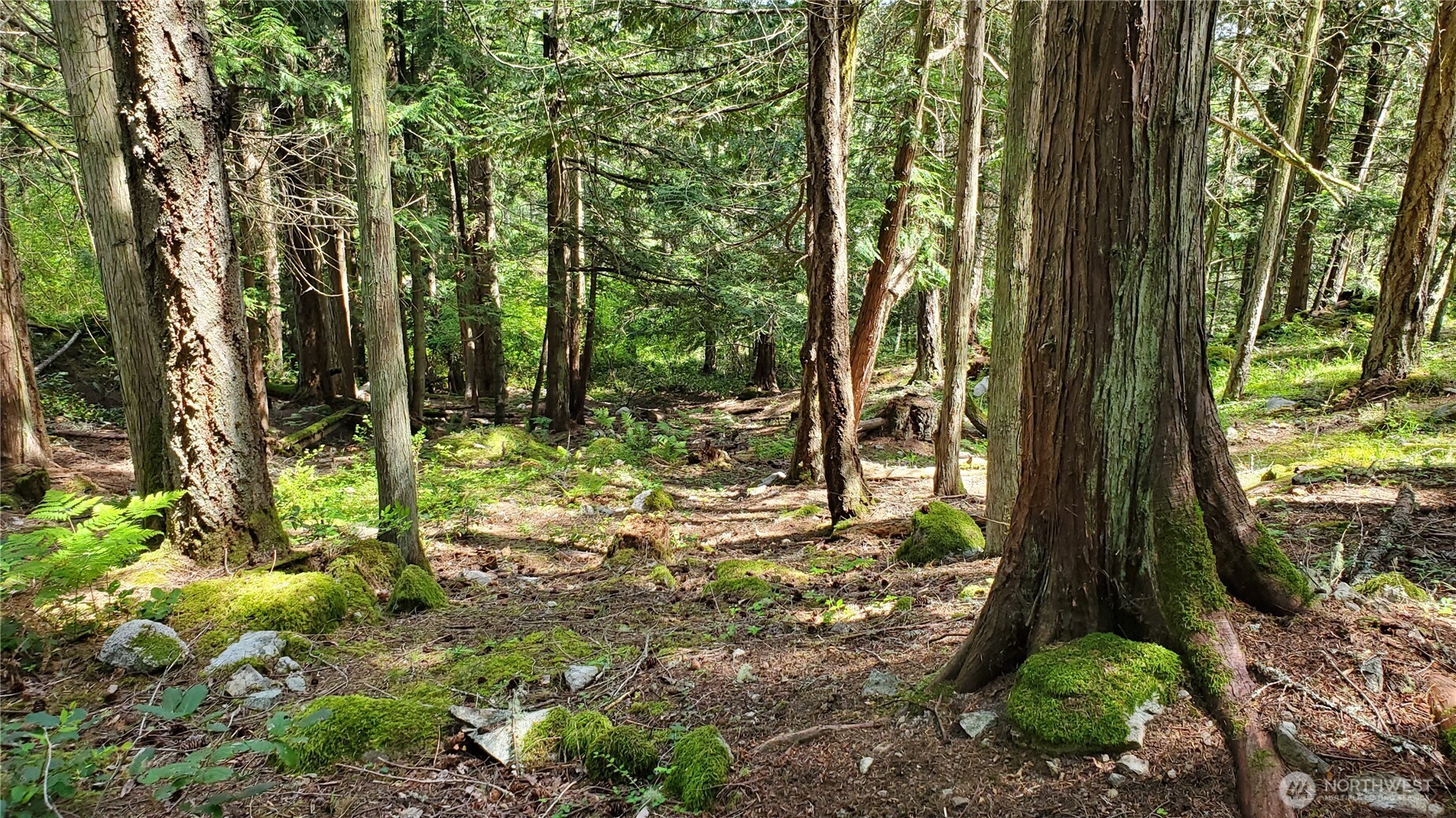 0 Lot 2 Harborview Lane , Orcas Island, WA 98243