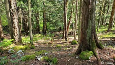 0 Lot 2 Harborview Lane , Orcas Island, WA 98243 - Photo 11