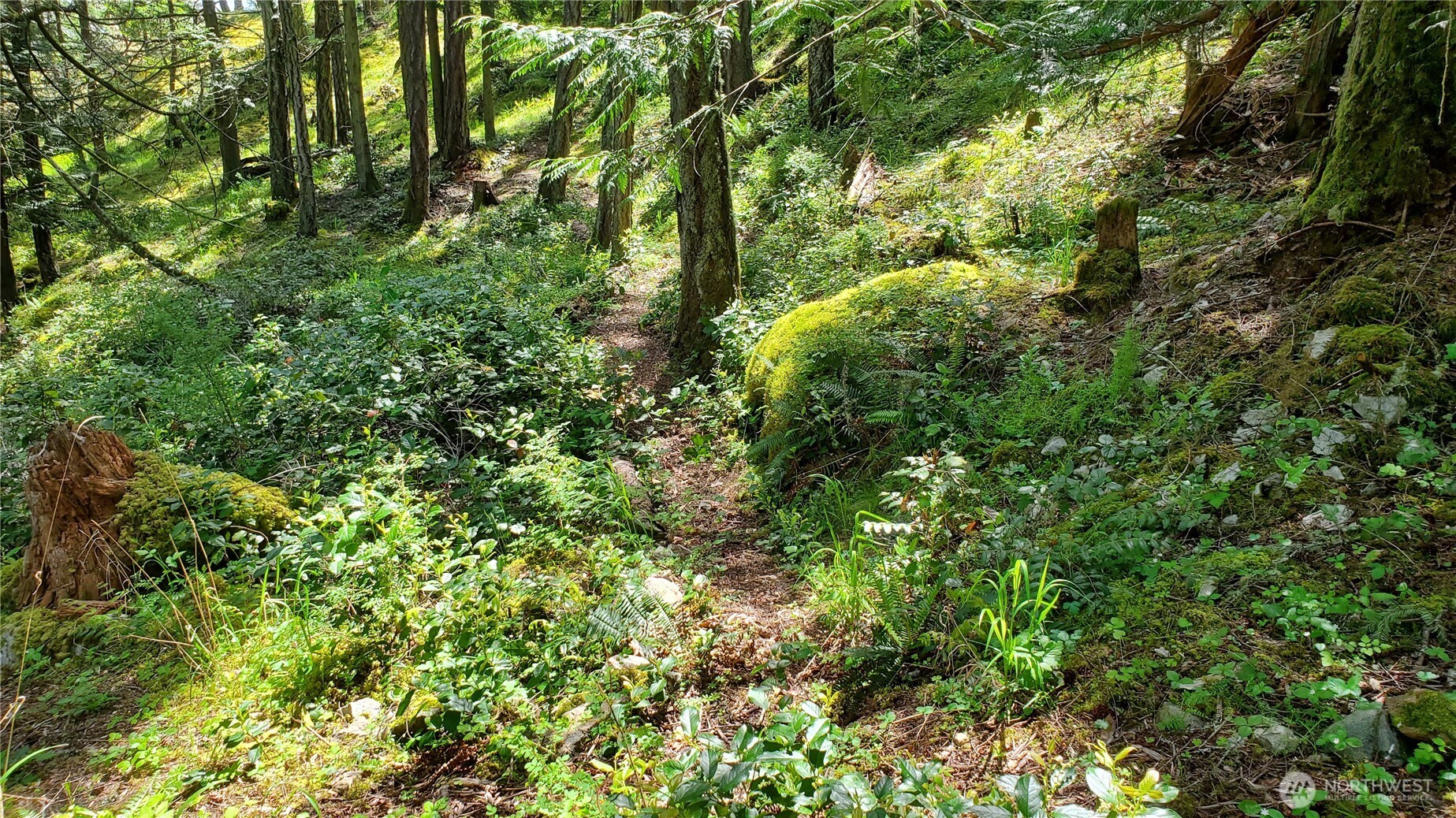 0 Lot 2 Harborview Lane , Orcas Island, WA 98243