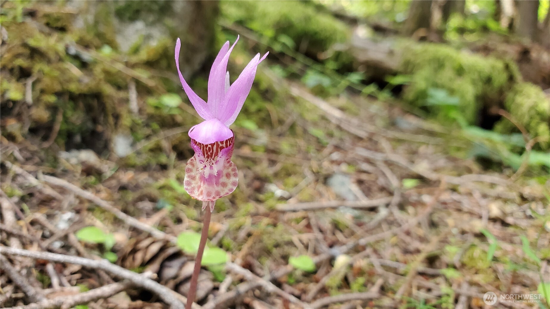 0 Lot 2 Harborview Lane , Orcas Island, WA 98243