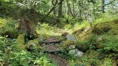 0 Lot 2 Harborview Lane , Orcas Island, WA 98243 - Photo 16