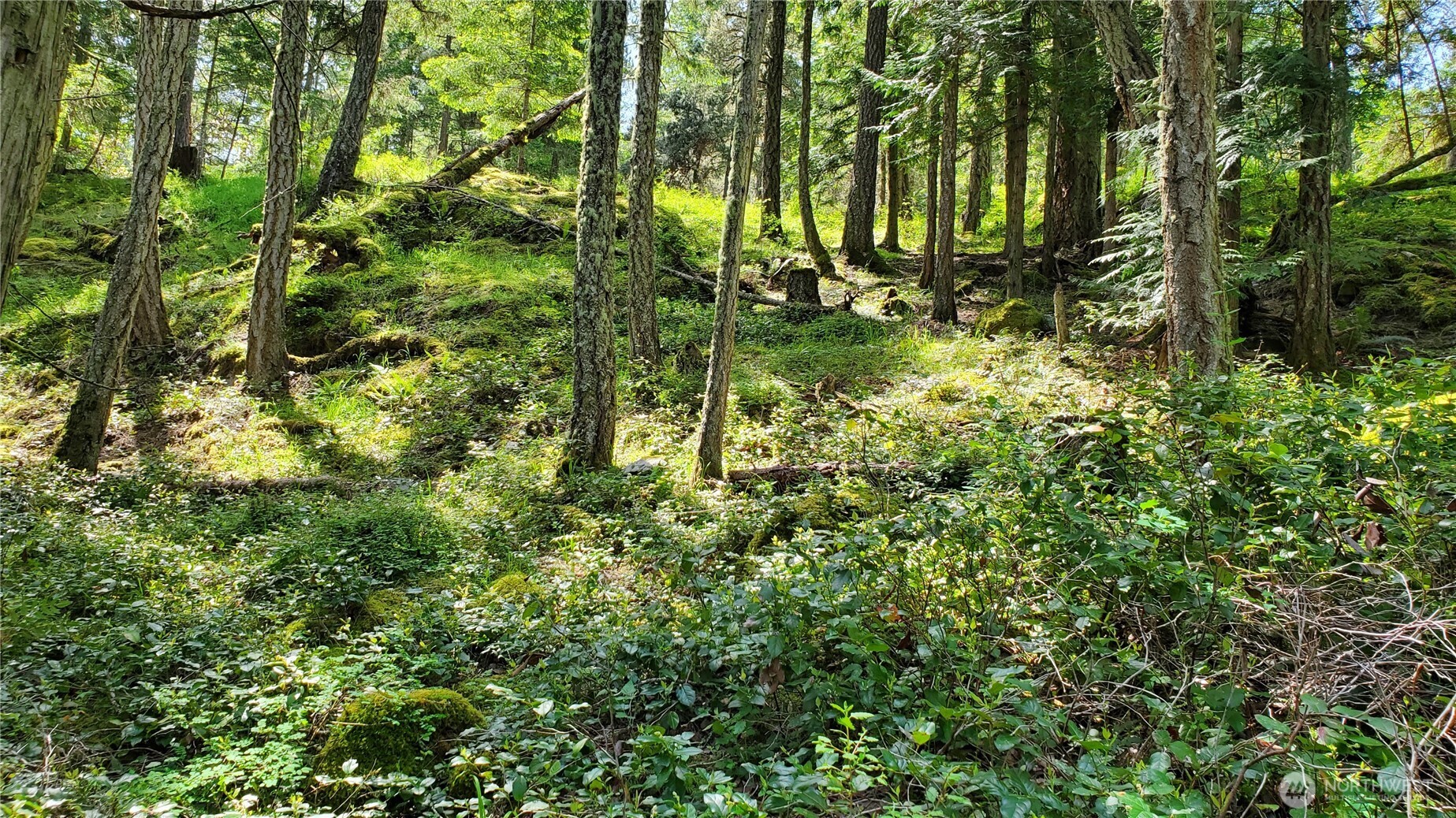 0 Lot 2 Harborview Lane , Orcas Island, WA 98243