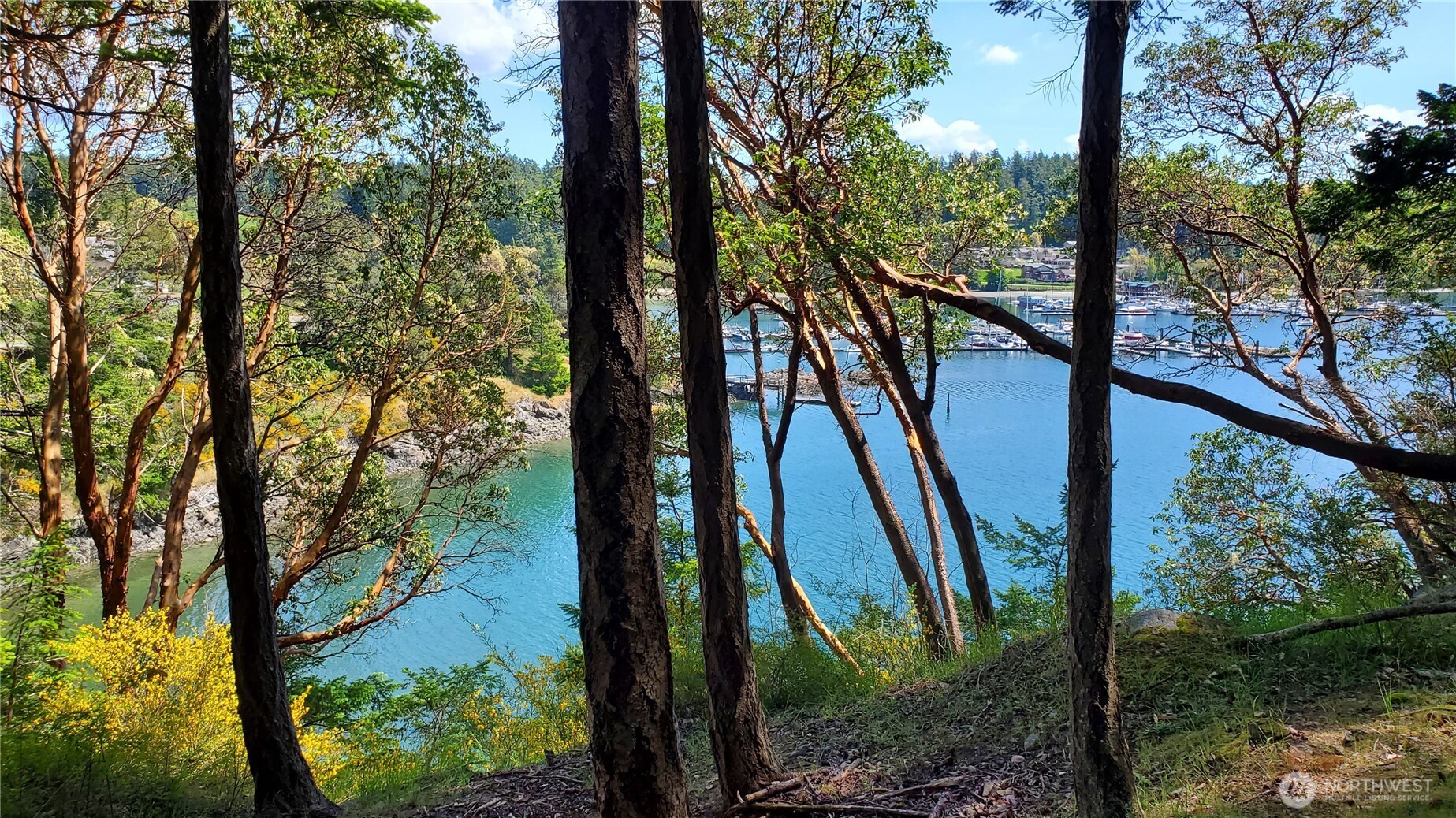 0 Lot 2 Harborview Lane , Orcas Island, WA 98243