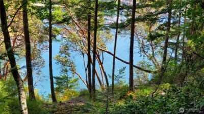 0 Lot 2 Harborview Lane , Orcas Island, WA 98243 - Photo 5