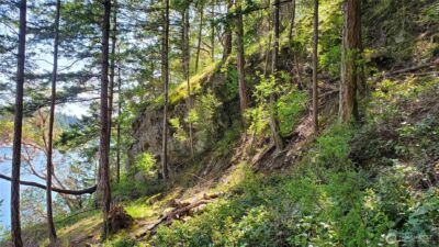 0 Lot 2 Harborview Lane , Orcas Island, WA 98243 - Photo 7