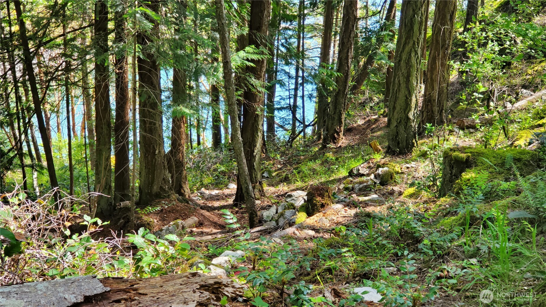 0 Lot 2 Harborview Lane , Orcas Island, WA 98243