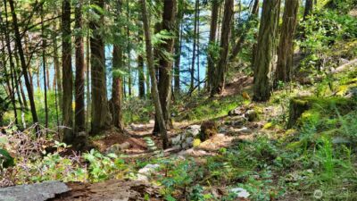 0 Lot 2 Harborview Lane , Orcas Island, WA 98243 - Photo 8