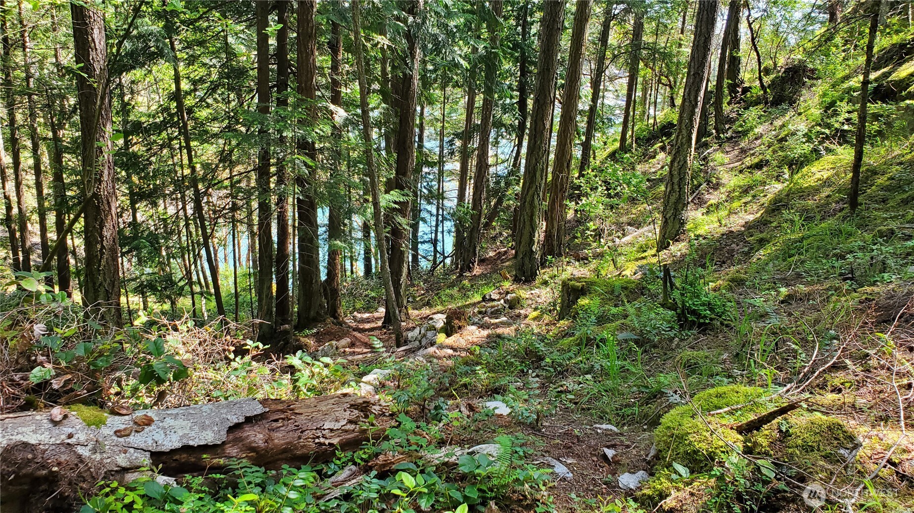 0 Lot 2 Harborview Lane , Orcas Island, WA 98243