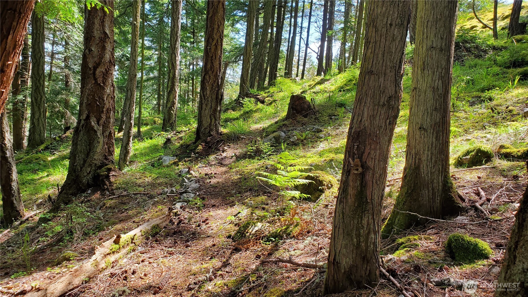 0 Lot 2 Harborview Lane , Orcas Island, WA 98243