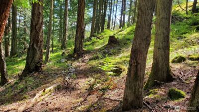 0 Lot 2 Harborview Lane , Orcas Island, WA 98243 - Photo 10