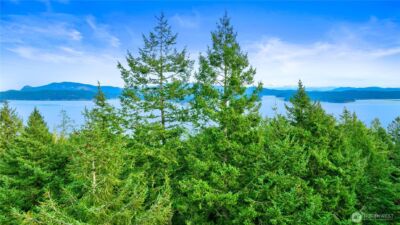 0 Misty Isle Drive , Friday Harbor, WA 98250 - Photo 17