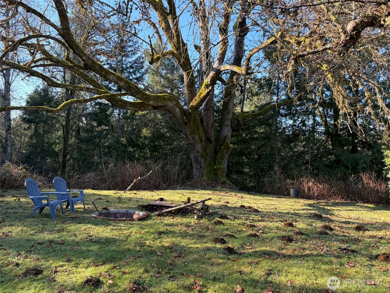 103 NE Belfair Street , Belfair, WA 98528