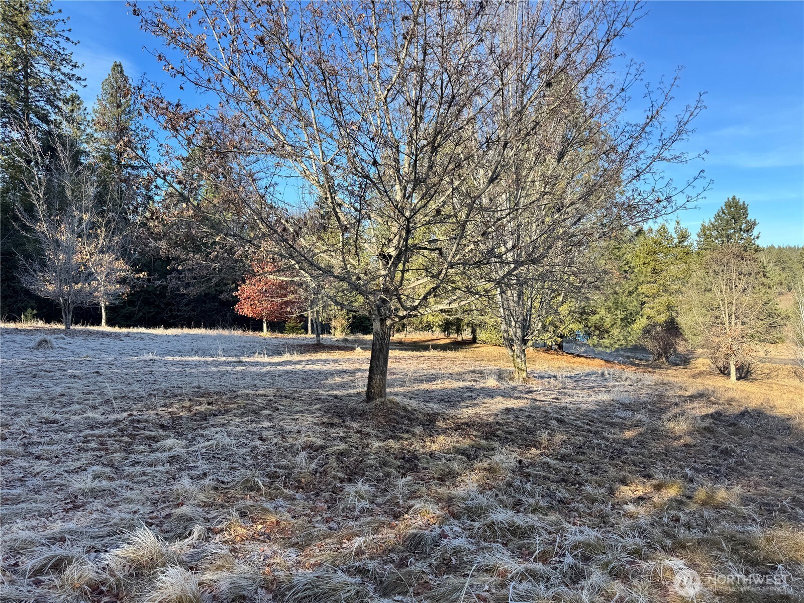 331 Corbett Creek Road , Colville, WA 99114