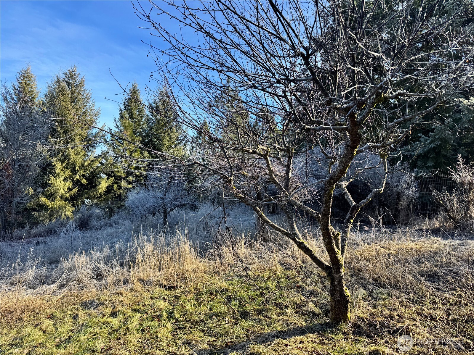 331 Corbett Creek Road , Colville, WA 99114