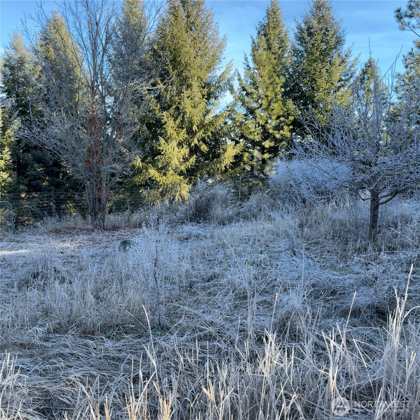 331 Corbett Creek Road , Colville, WA 99114