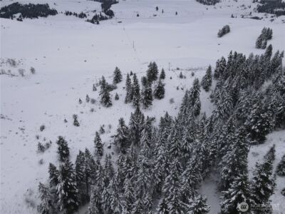 0 Lot 38 Mountain View Road , Oroville, WA 98844 - Photo 12