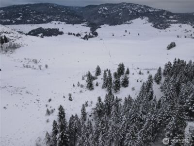 0 Lot 38 Mountain View Road , Oroville, WA 98844 - Photo 13