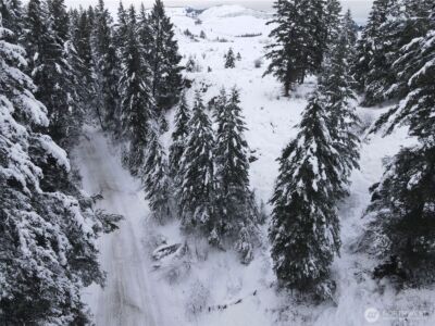 0 Lot 38 Mountain View Road , Oroville, WA 98844 - Photo 2