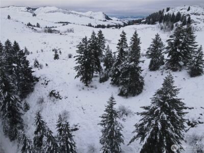 0 Lot 38 Mountain View Road , Oroville, WA 98844 - Photo 4