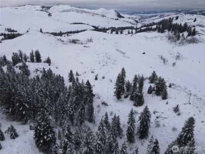 0 Lot 38 Mountain View Road , Oroville, WA 98844 - Photo 6