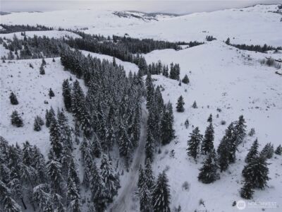 0 Lot 38 Mountain View Road , Oroville, WA 98844 - Photo 7