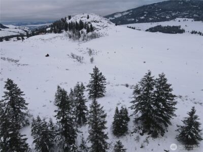 0 Lot 38 Mountain View Road , Oroville, WA 98844 - Photo 10