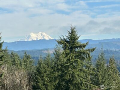 2366 Seminary Hill Road , Centralia, WA 98531 - Photo 35