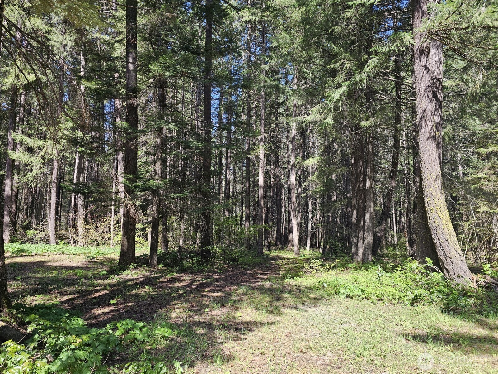 551 Pioneer Trail , Cle Elum, WA 98922