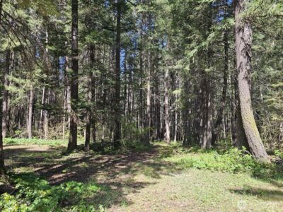 551 Pioneer Trail , Cle Elum, WA 98922 - Photo 32