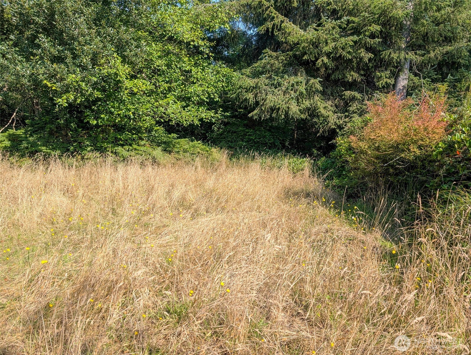 618 Sunset Avenue NE, Ocean Shores, WA 98569