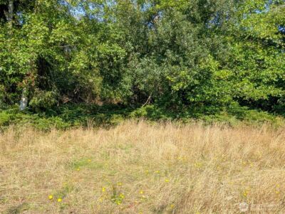 618 Sunset Avenue NE, Ocean Shores, WA 98569 - Photo 4