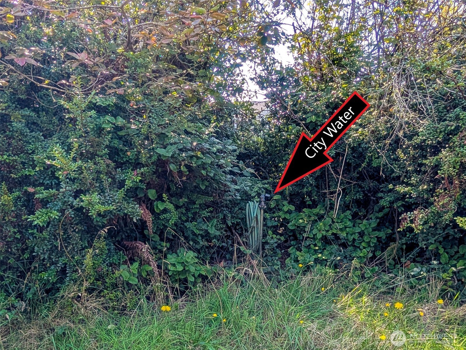 618 Sunset Avenue NE, Ocean Shores, WA 98569