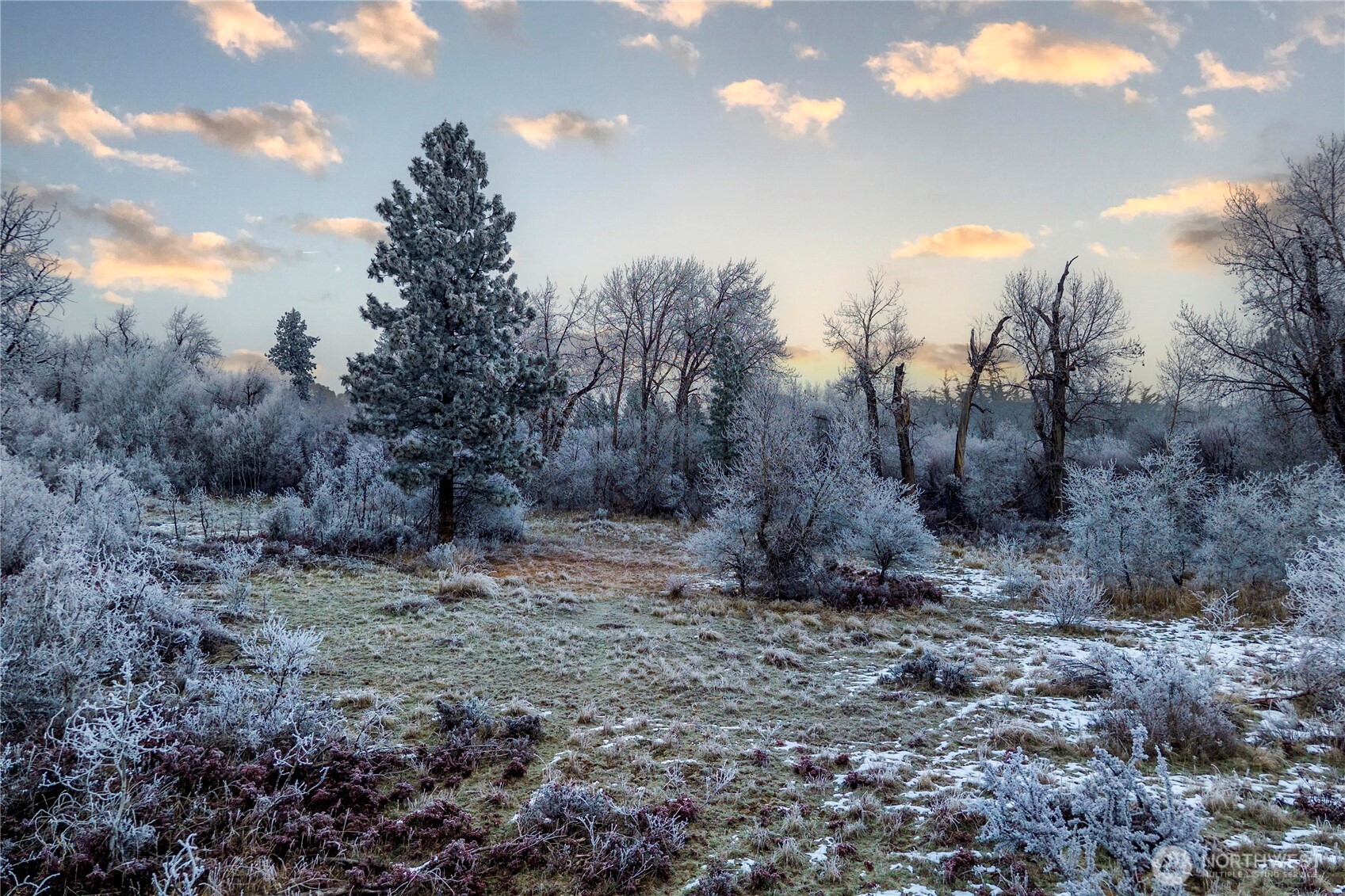 1581 Thomas Road , Ellensburg, WA 98926