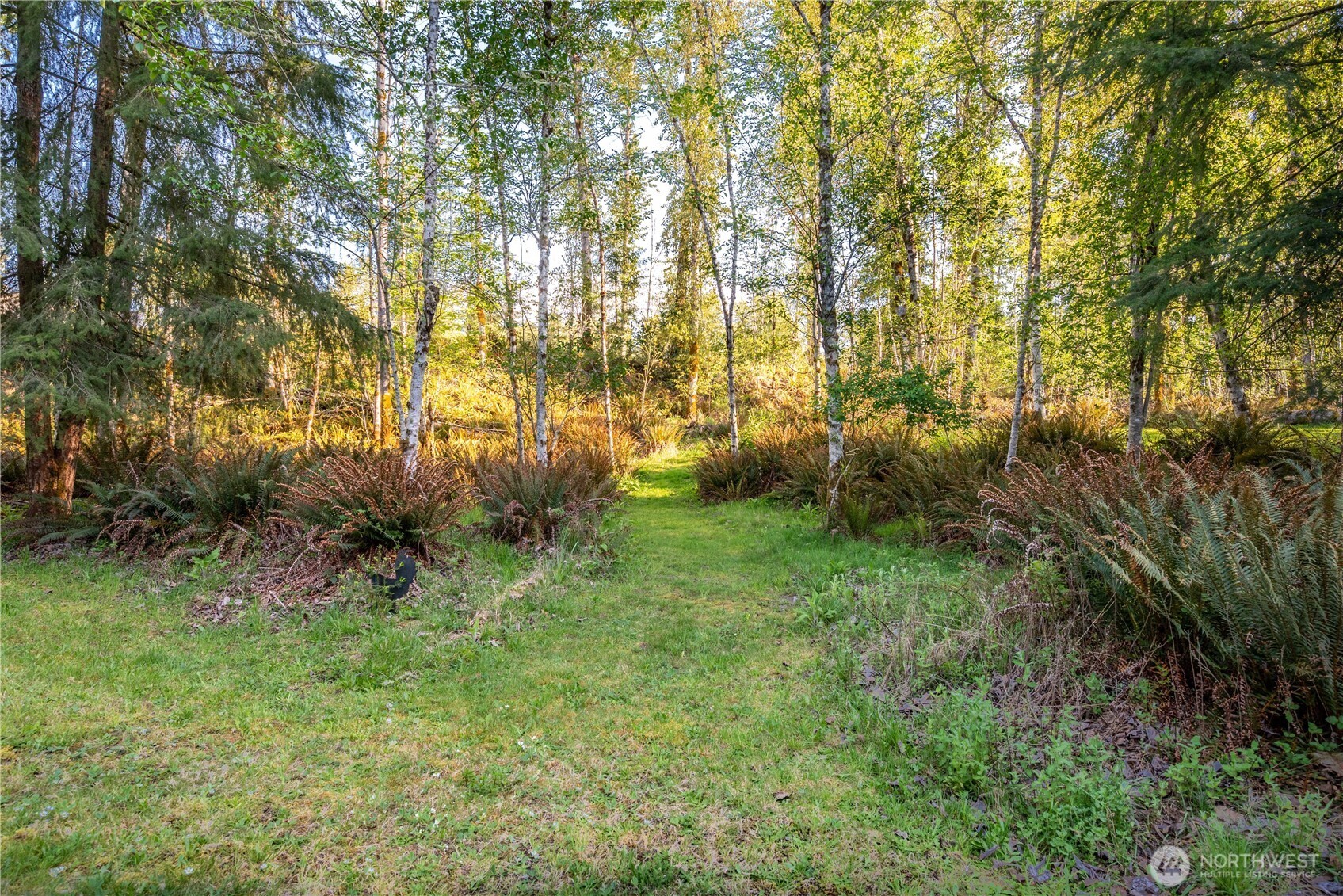460 Cornell Rd. , Toutle, WA 98649