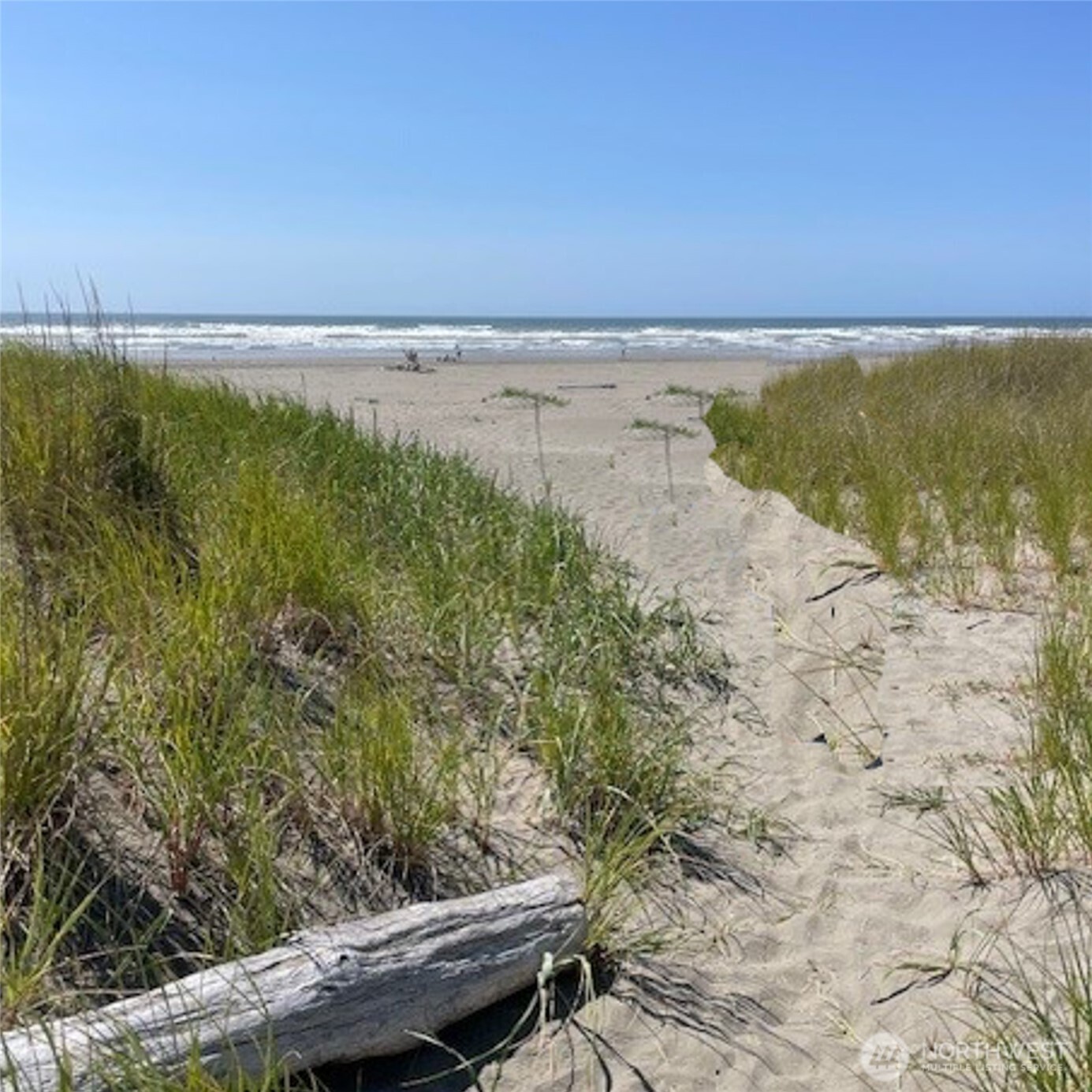 2 Dolphin Lane , Copalis Beach, WA 98535