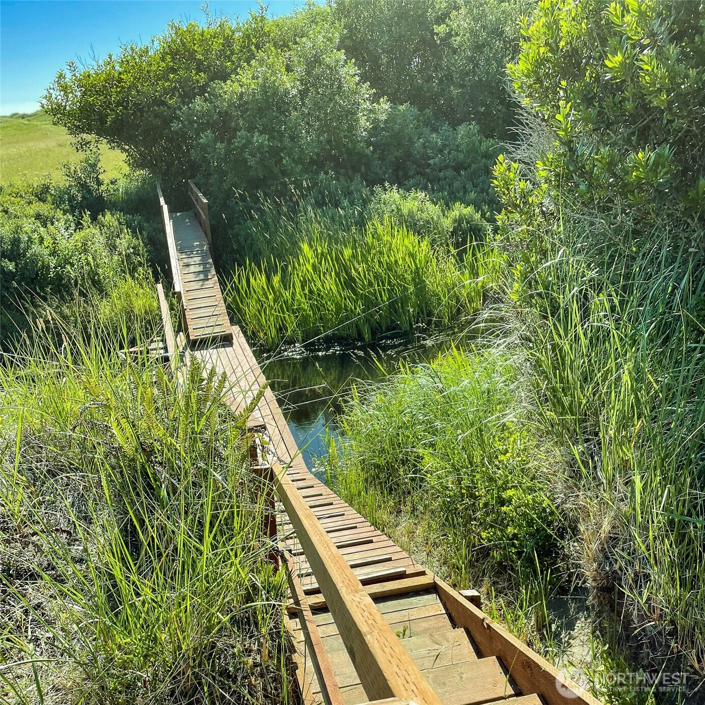 2 Dolphin Lane , Copalis Beach, WA 98535