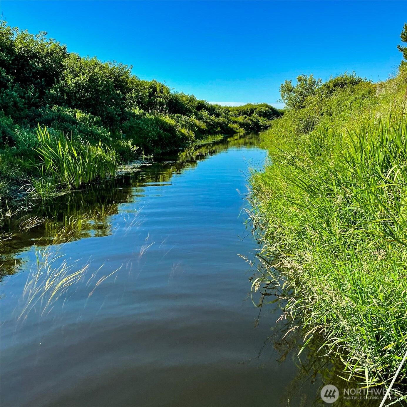 2 Dolphin Lane , Copalis Beach, WA 98535